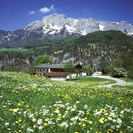 Steinlehen Appartement *