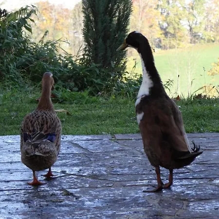 Steinlehen Marktschellenberg
